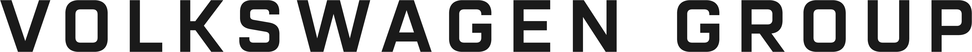 Volkswagen group